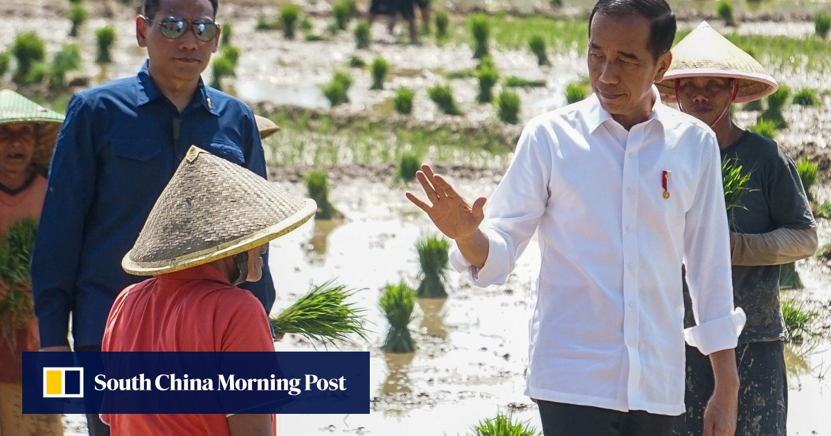 Is Israel hampering Indonesia’s efforts to join OECD given Jakarta’s support for Palestinian cause?