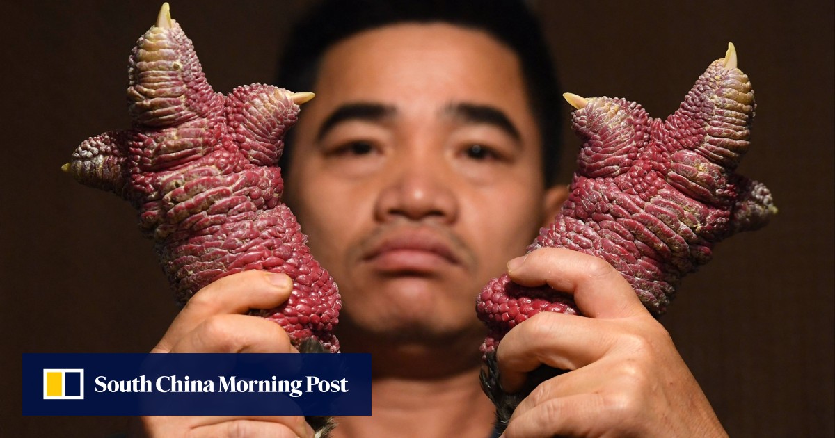 Once reserved for Vietnamese royalty, demand for ‘dragon chicken’ surges during Lunar New Year