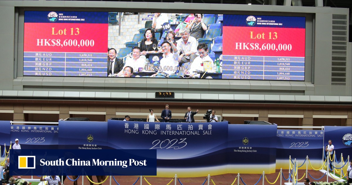 Quality of Hong Kong International Sale excites ‘we’ve got a much more