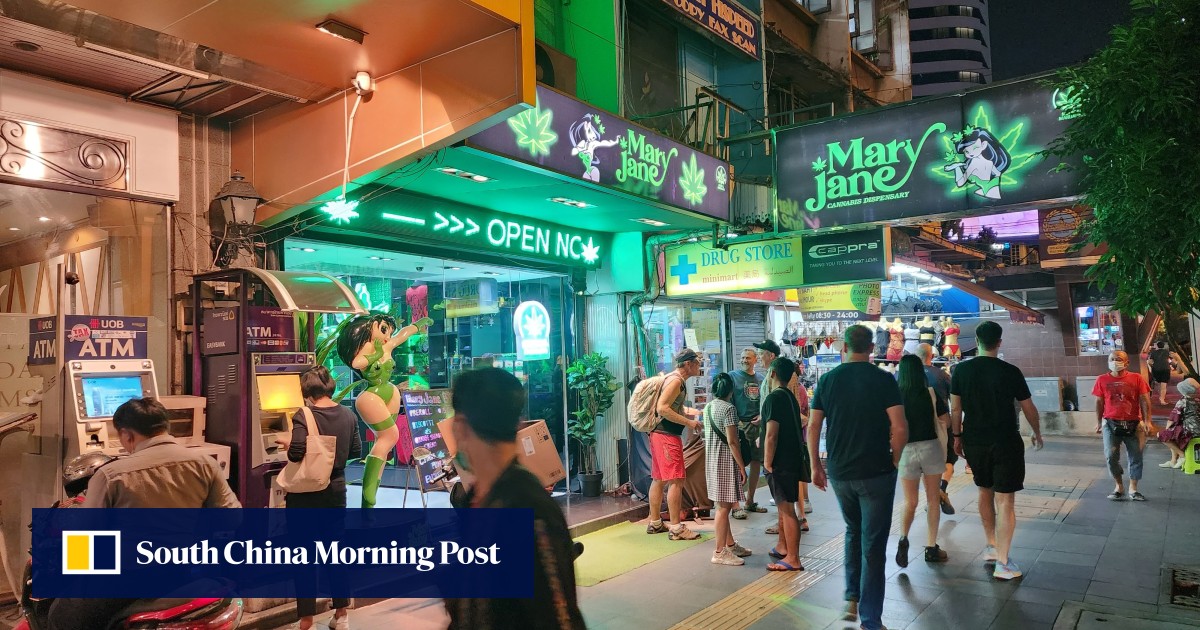 Thai government could face ‘thousands’ of lawsuits as it seeks to ban recreational cannabis use
