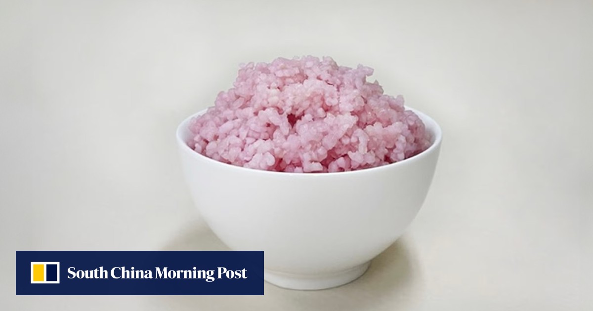 South Korean scientists develop sustainable ‘meaty rice’ opening up ...