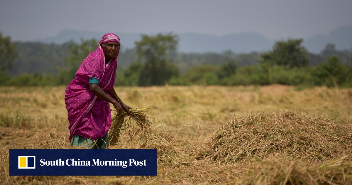 For some Sri Lankan women, domestic violence is cost of climate change