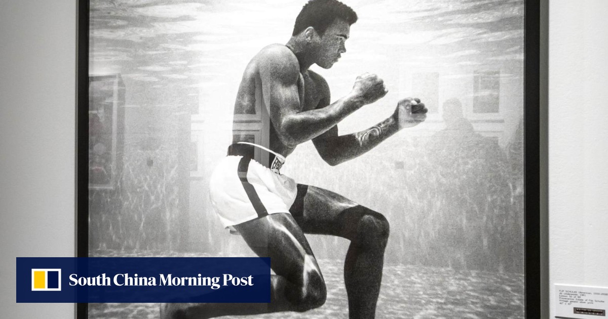 Ali Person How a photo of Muhammad Ali boxing underwater inspired the founder of a ...