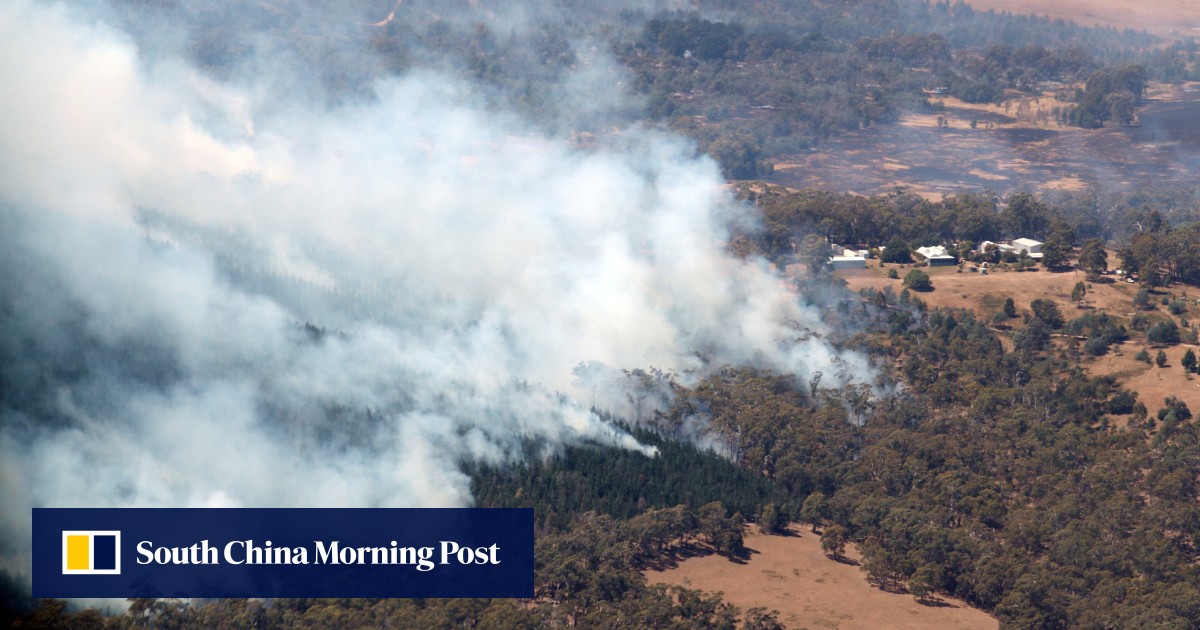 Australia PM Anthony Albanese pledges ‘whatever support’ needed as wildfires destroy homes