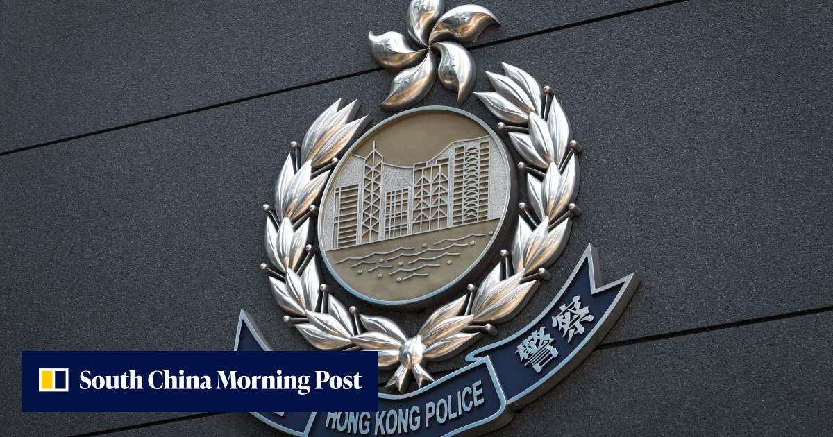 Hong Kong police hunt 2 suspects who assaulted man, stole his bag ...