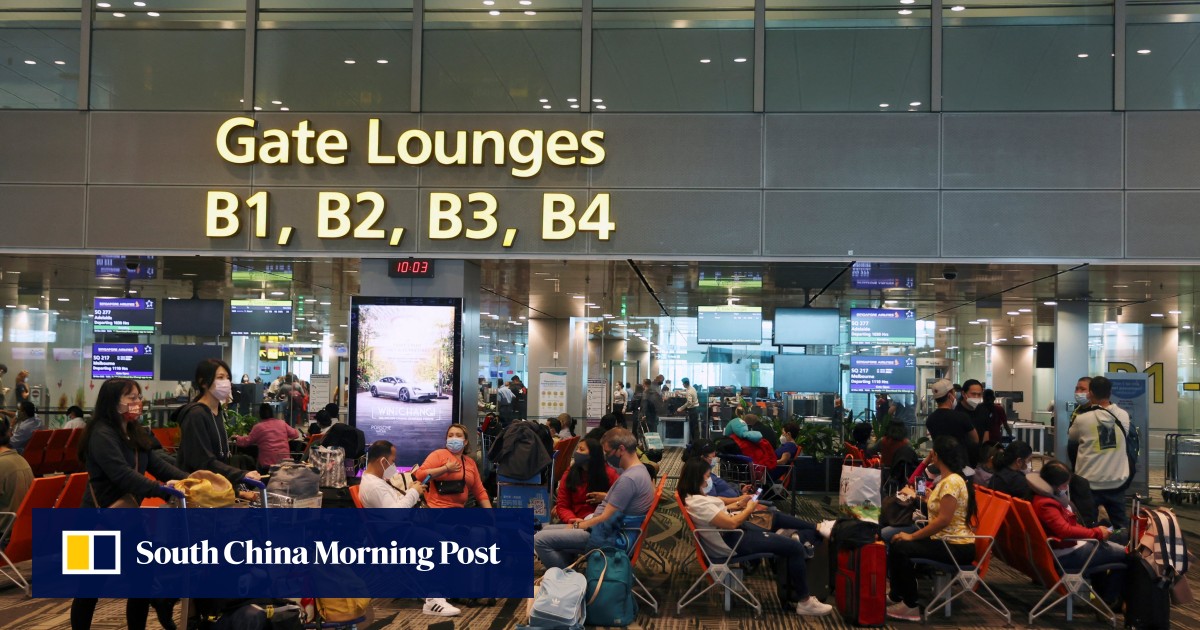 Singapore’s plan for flight levy linked to green fuel adoption unlikely to dent air travel demand