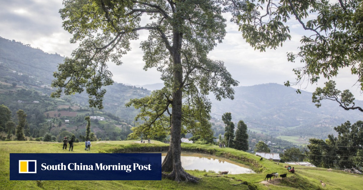 As Nepal’s springs dry up due to climate change, construction, local communities lead revival efforts