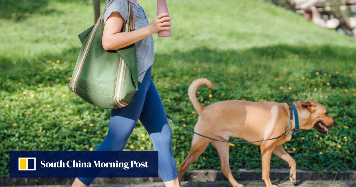 ‘Go back to China’: US woman caught on TikTok in racist rant over unleashed dog