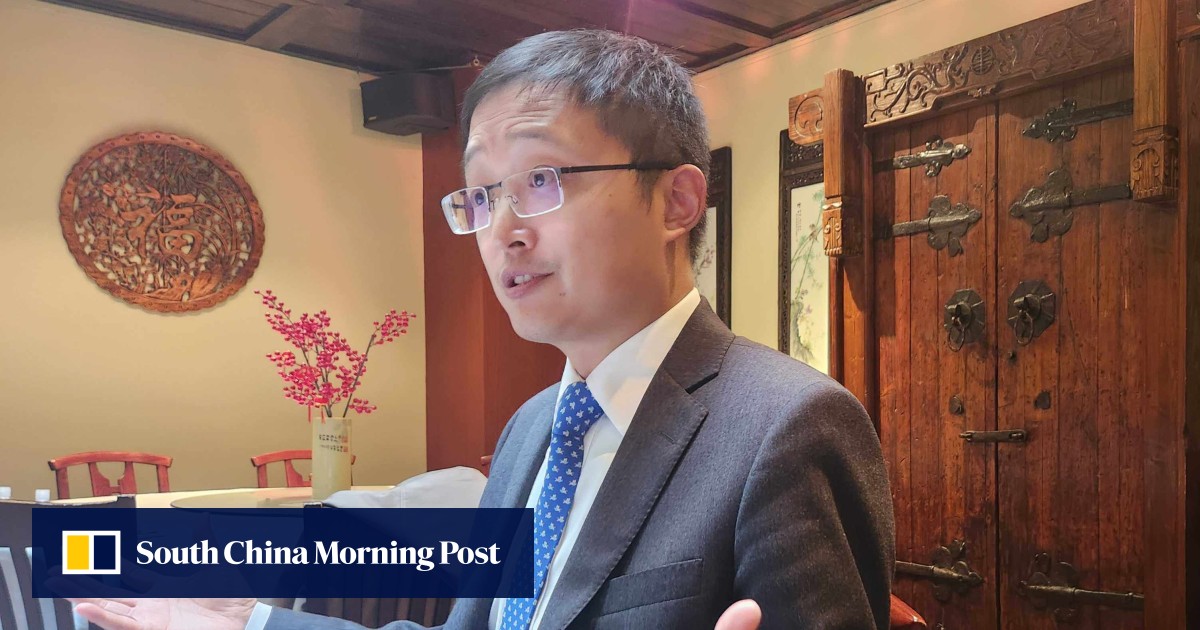 China economy gaining momentum despite calls for hardline US stance: senior diplomat