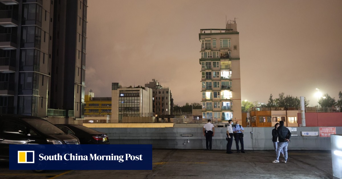 Hong Kong police launch attempted murder-suicide probe after father and son, 7, plunge from city shopping centre