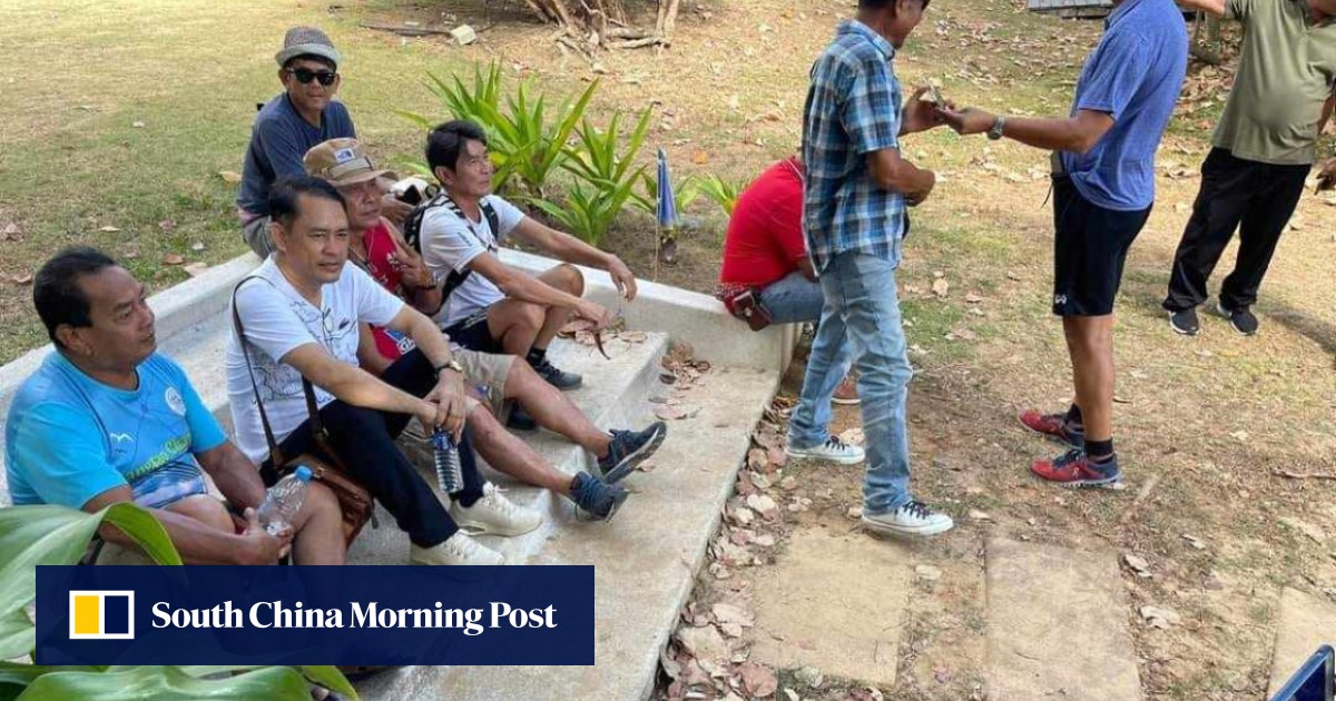 Stairway to haven: Phuket villa steps draw curious visitors after Swiss man kicks Thai doctor