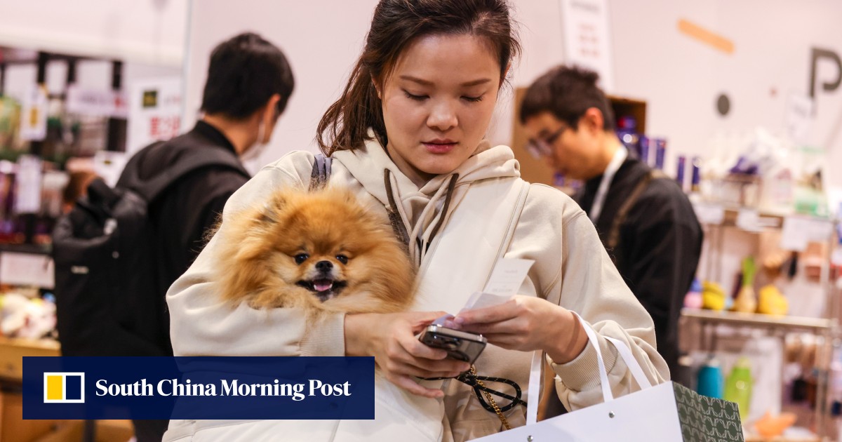 Hongkongers among top spenders on pet care in Asia-Pacific at US,000, insurer OneDegree says