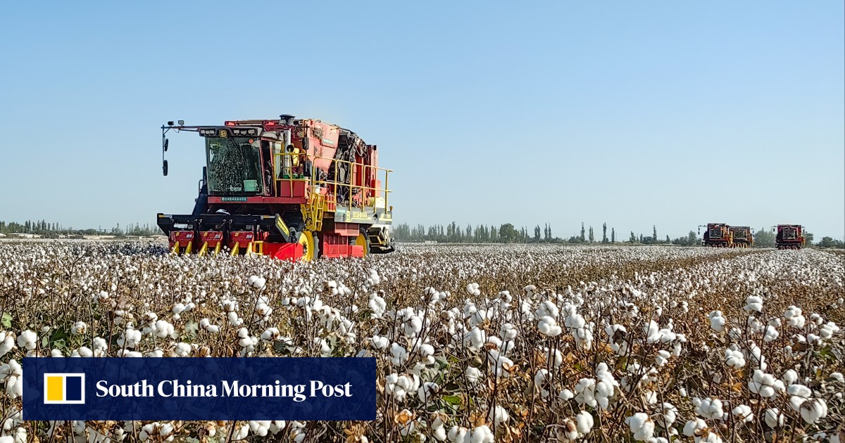 EU sees 200% surge in imports from China’s Xinjiang region despite human rights concerns