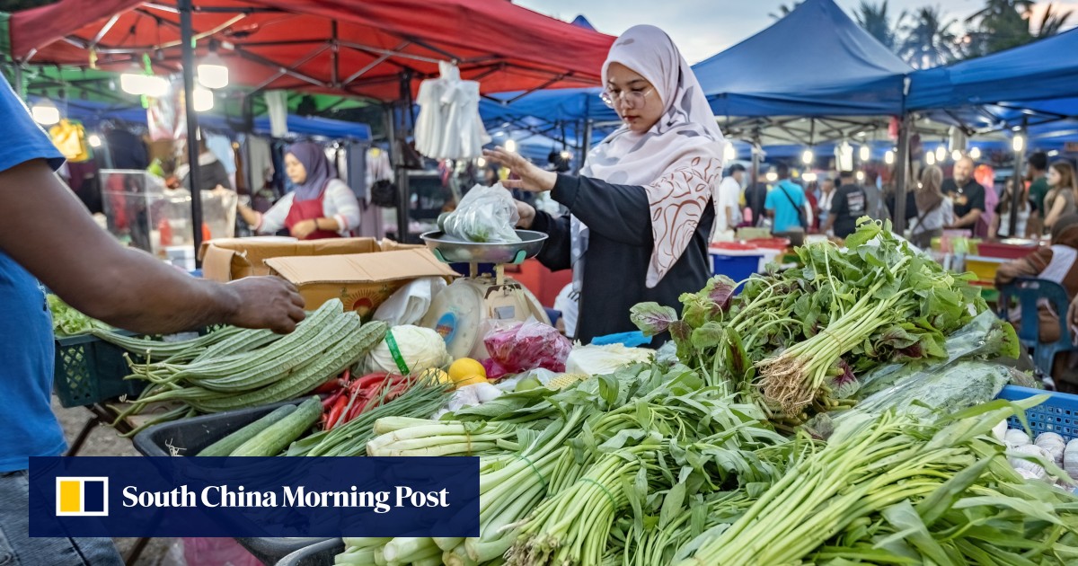 Malaysians could pay more for vegetables as worker exodus sparks supply fears: ‘locals don’t want the jobs’