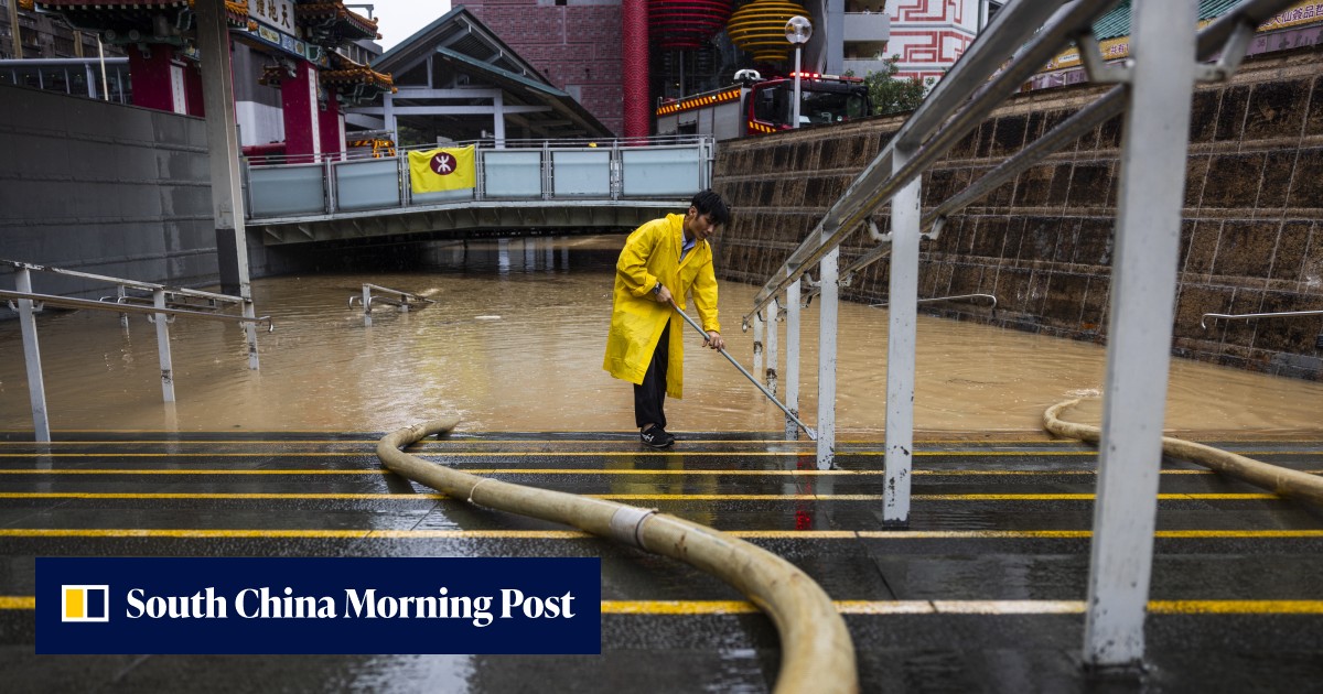 Letter | Why cities like Hong Kong have a crucial role to play in the climate fight - Vimarsana News