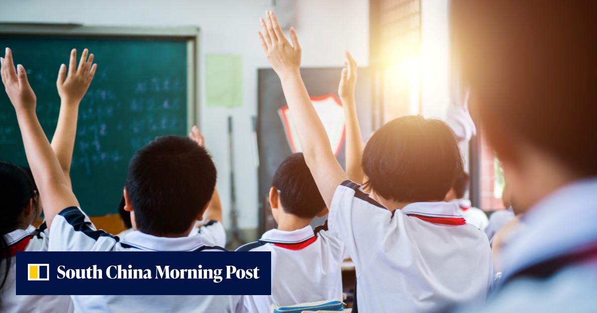Exclusive | Bringing in more mainland Chinese pupils not an option for Hong Kong public schools battling shrinking intakes: education chief - Vimarsana News