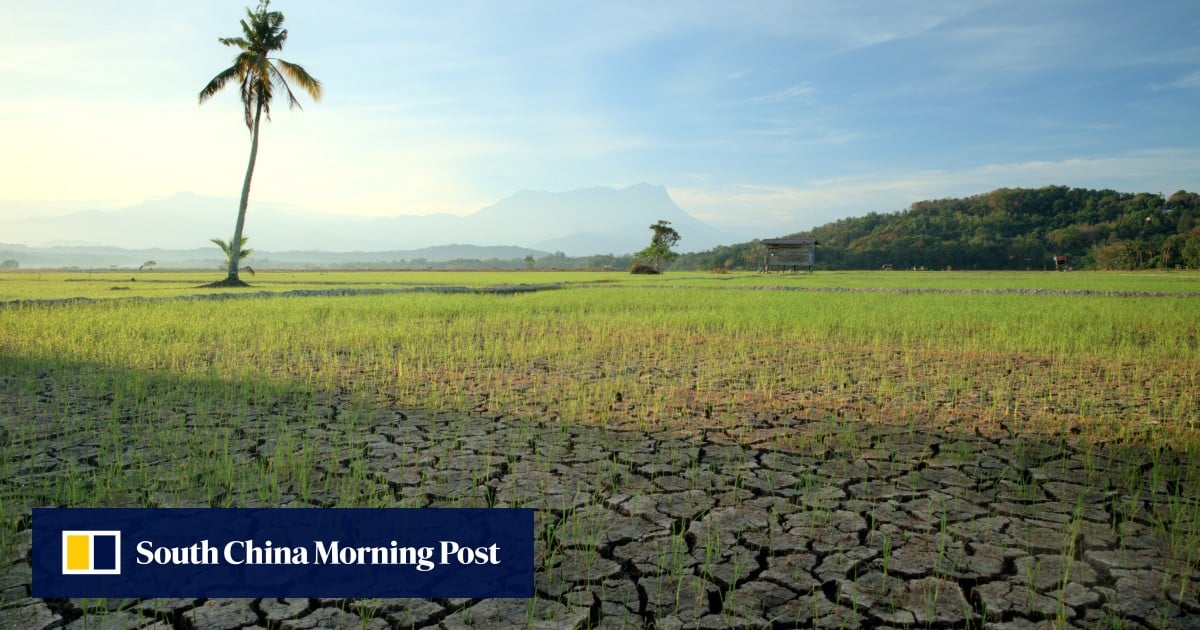 马来西亚遭受干旱的沙巴州,水龙头干涸——预计将出现更极端的高温 马来西亚遭受干旱的沙巴州,水龙头干涸——预计将出现更极端的高温