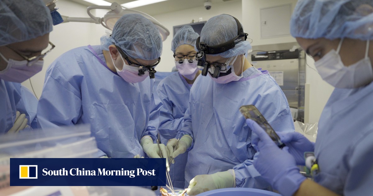 Patients in China and the US have received pig organ transplants, opening an ethical can of worms