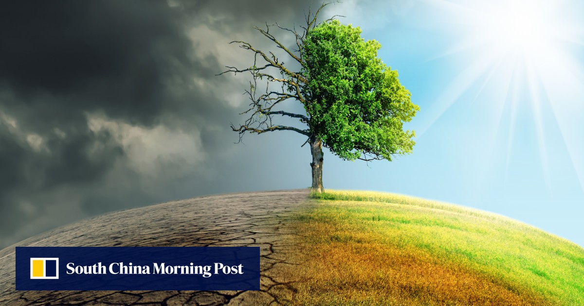 Asian family businesses must embrace sustainability to enhance their legacy, says chairman of IMC Pan Asia Alliance Group