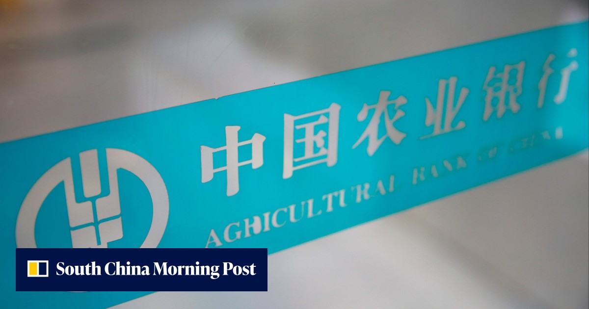 China stocks gain in rally fuelled by banks following steady earnings reports - Vimarsana News