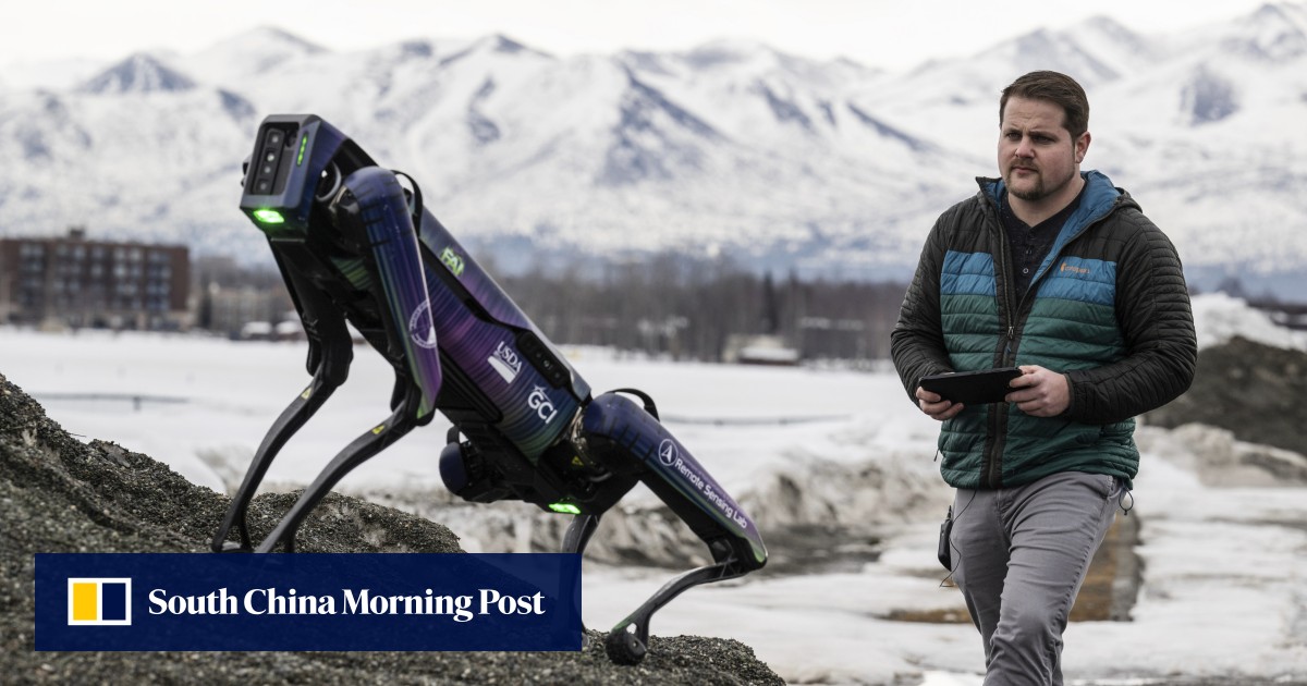 Robot disguised as coyote or fox will scare wildlife away from runways at Alaska airport