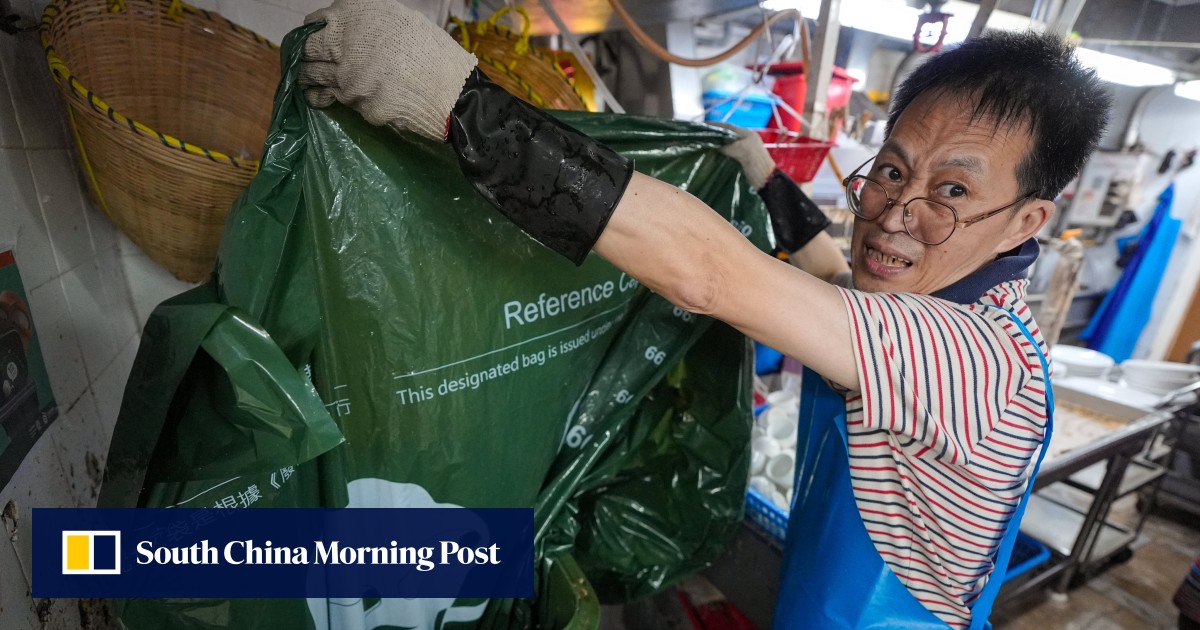 Hongkongers in trial run for waste charging scheme criticise one-size-fits-all approach to special bags at estates – Technologist
