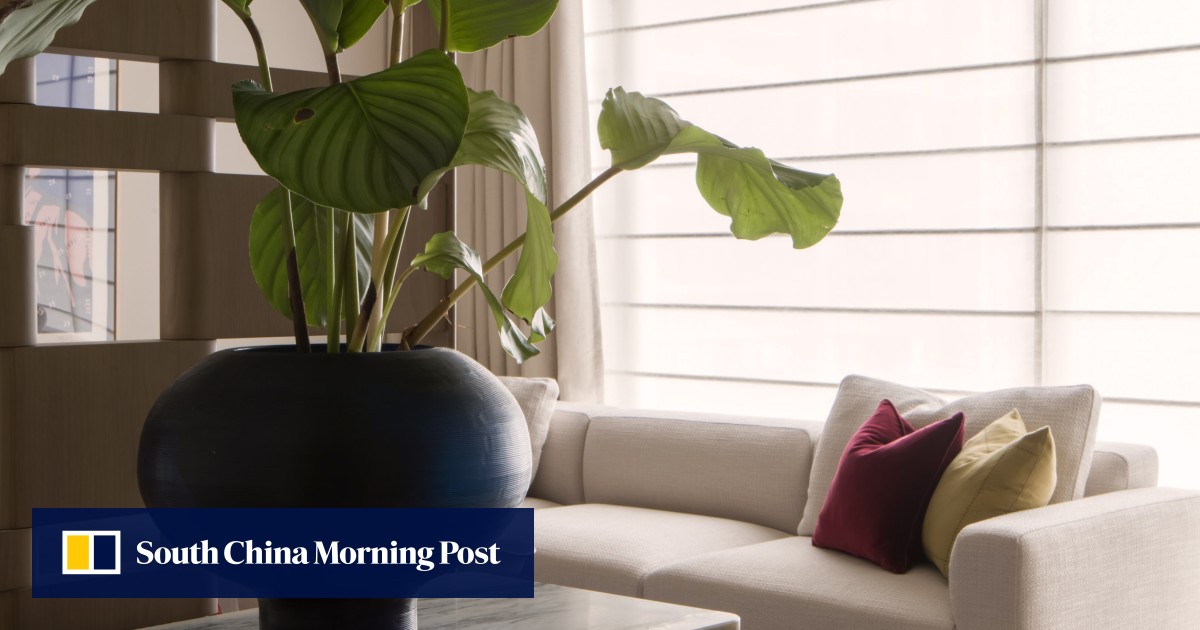A chic urban pad that’s also comforting and inviting, its mix of textures invoking nature in a Hong Kong high-rise