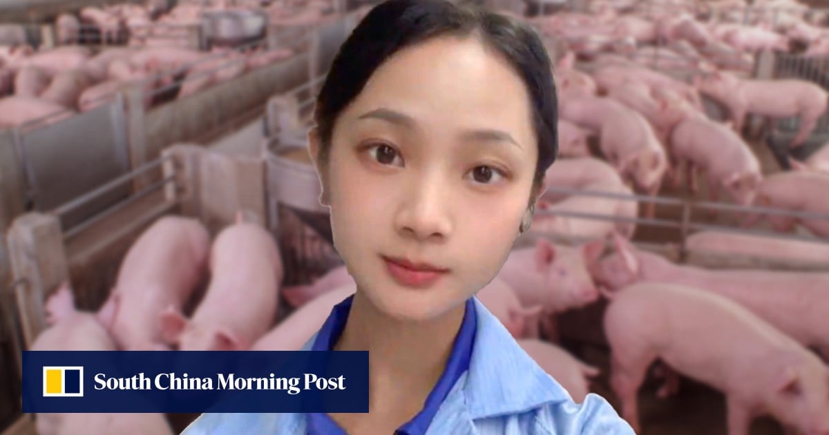 Attractive China pig farm worker, 26, becomes internet sensation after quitting office job to work with animals
