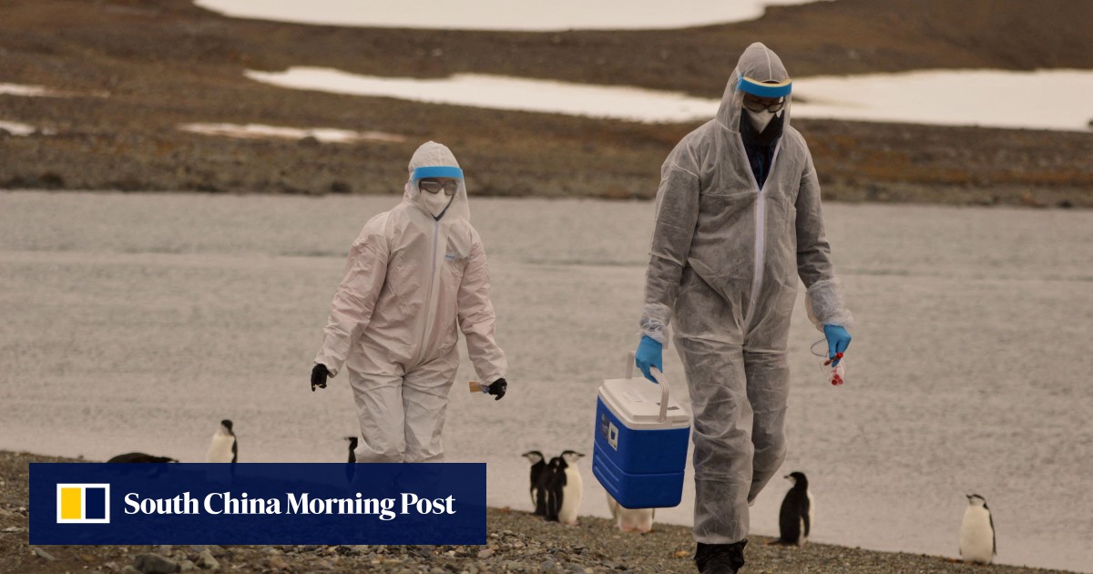WHO says human cases of bird flu ‘an enormous concern’
