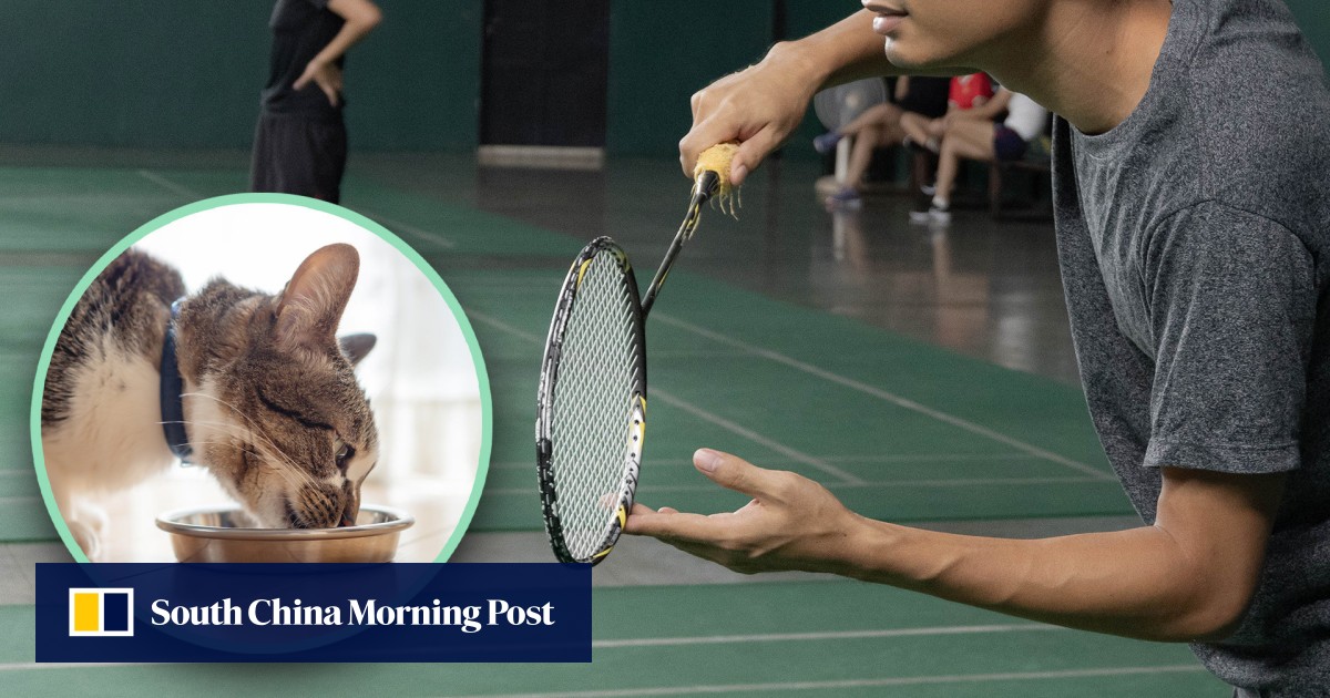 China badminton player paralysed after standing on stray cat in stadium during game, court orders feline ‘keeper’ pay US$33,000 in compensation
