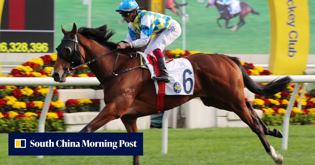 ‘Special’ Galaxy Patch poised for epic Champions Mile clash with Golden ...