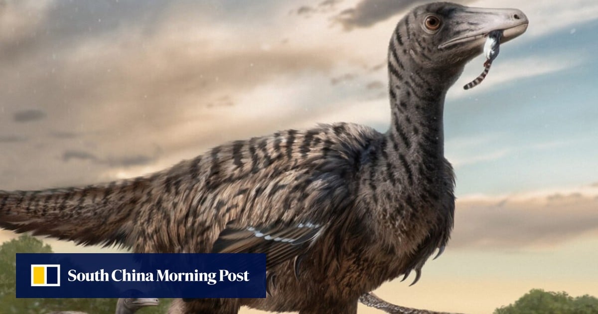 Çin'deki dinozor ayak izleri, Jurassic Park tasvirlerine meydan okuyan dev yırtıcı kuşlara işaret ediyor
