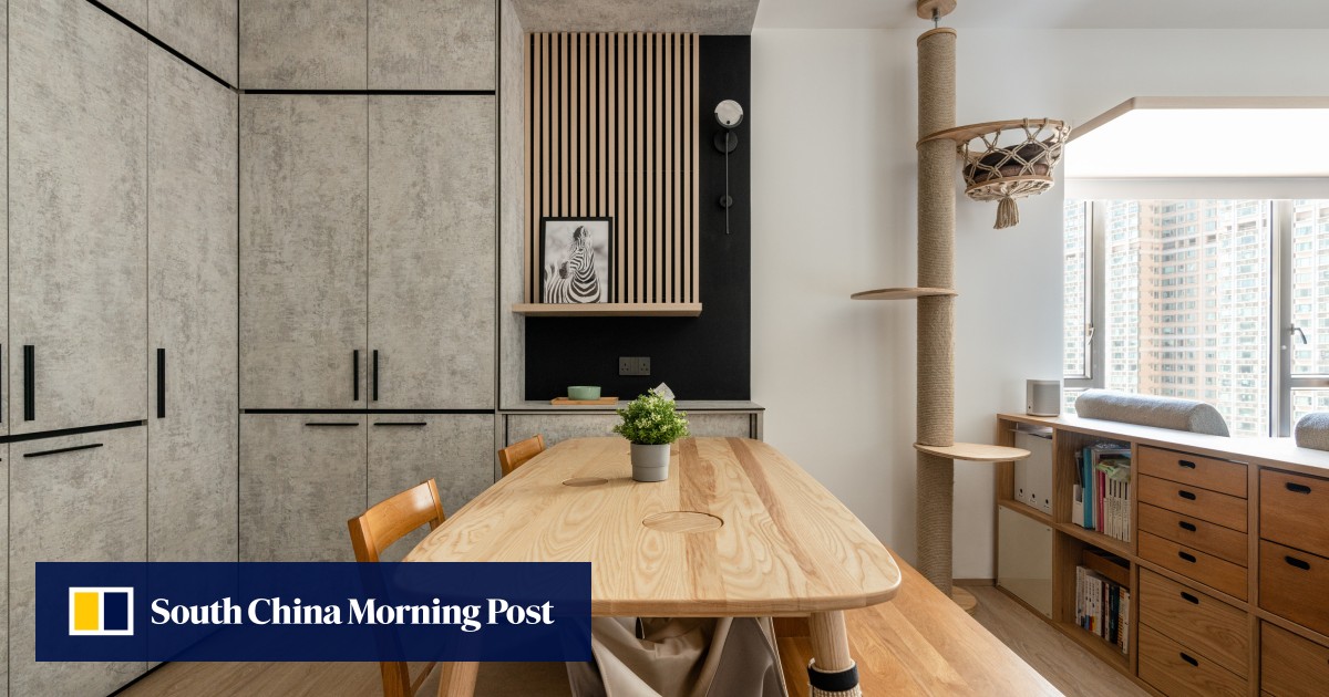 Minimalist, open-plan, perfect for cats: a Hong Kong home with bespoke feline furniture and hidden storage space