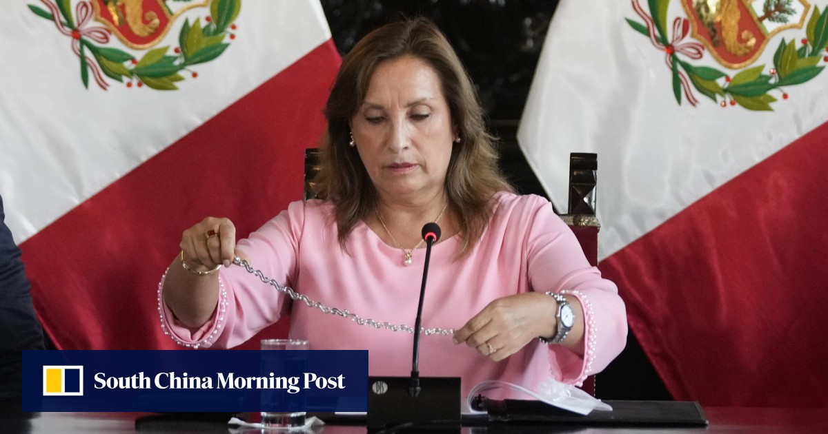Peru President Dina Boluarte’s brother and lawyer arrested over alleged influence peddling