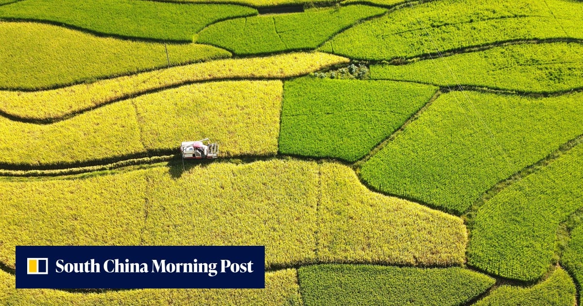 Hunan Farm Central Chinese province Hunan to play big role in helping boost ...