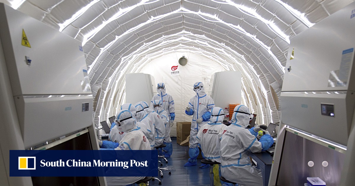 China’s medical testing sector scales down with pandemic peak in rear-view