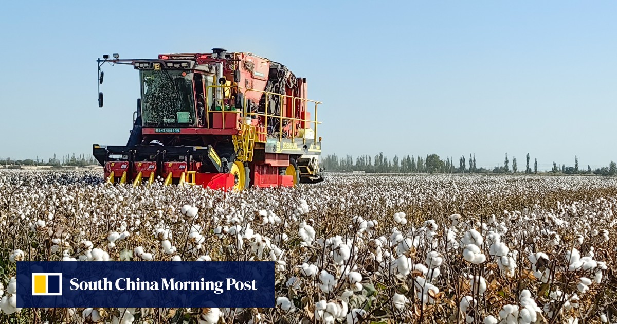 US bars imports from 26 cotton manufacturers over Uygur forced labour