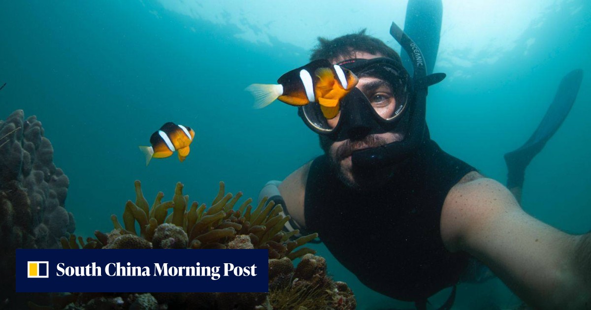 Underwater photographer and dive instructor in Hong Kong on why he loves his alternative lifestyle - Vimarsana News