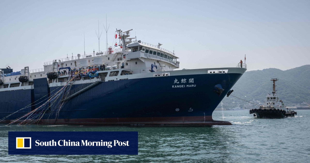 Japan launches controversial whaling ship in bid ‘boost demand’ for whale meat, amid criticism from conservationists