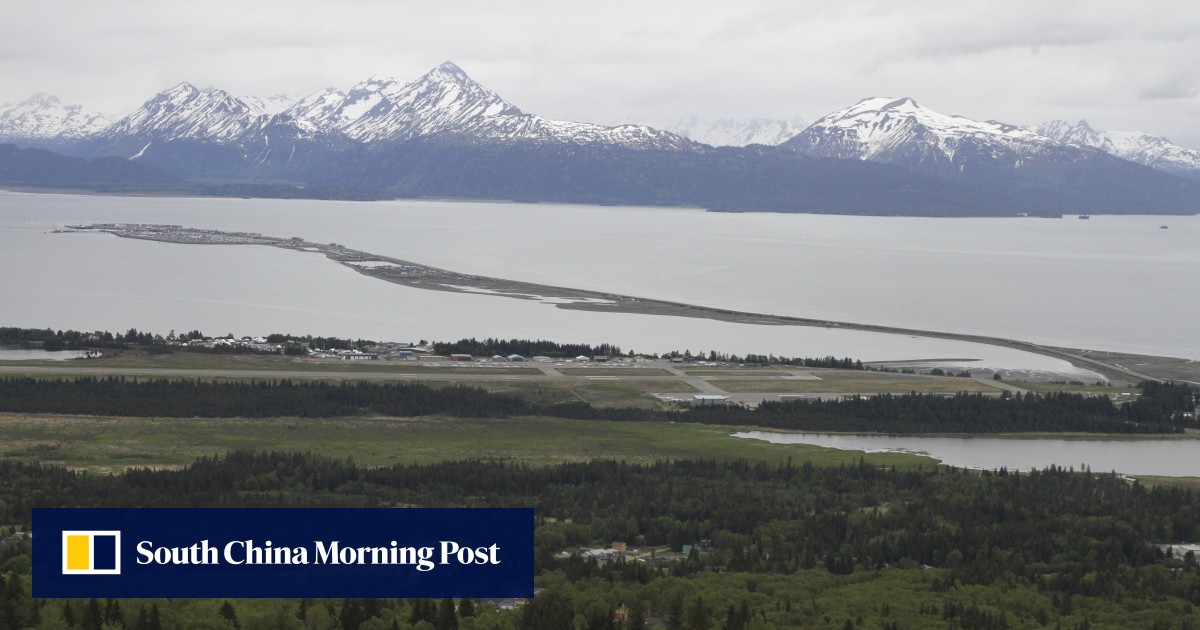 Moose kills man trying to take photos of her newborn calves in Alaska