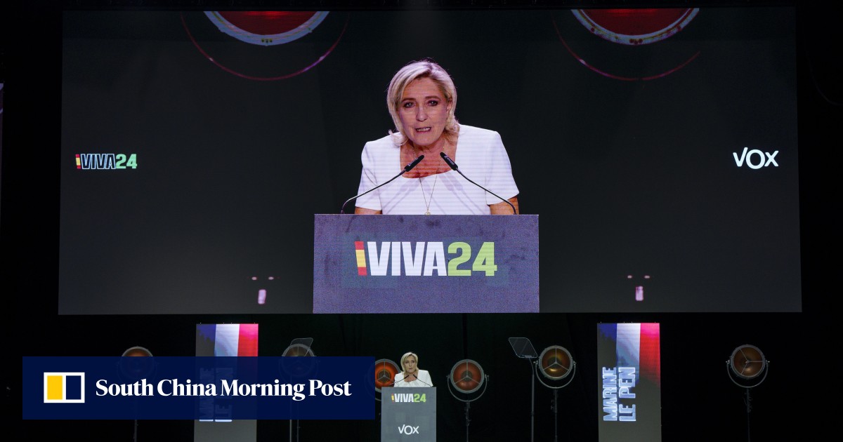 France’s Marine Le Pen dumps German far-right AfD party after Nazi comments: ‘it’s enough’