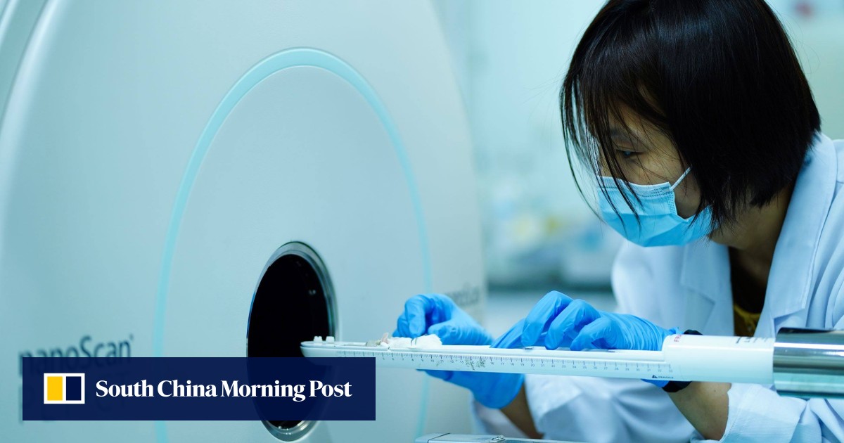 Could this advance in radionuclide therapy help late-stage cancer patients?