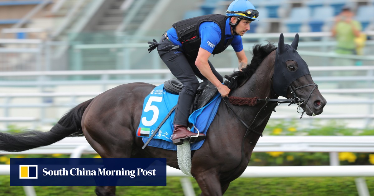 Bullish Charlie Appleby backs Rebel’s Romance: ‘He is the one they all ...