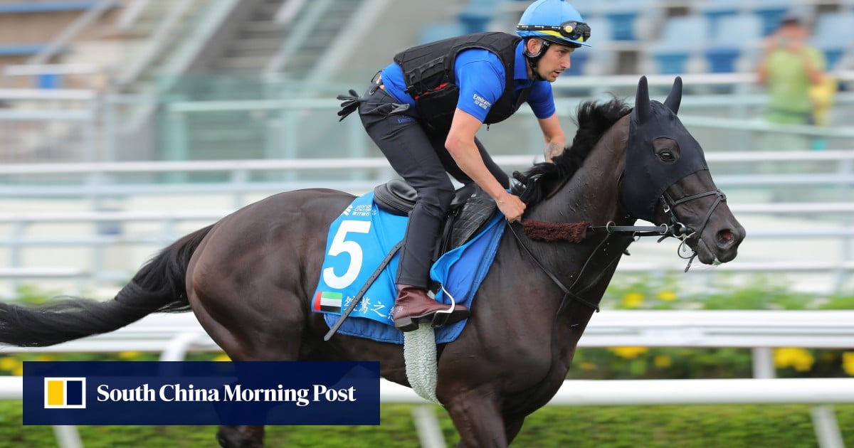 Bullish Charlie Appleby backs Rebel’s Romance: ‘He is the one they all ...