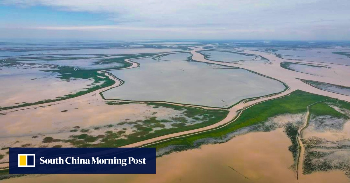 China’s Yangtze River, biggest freshwater lakes Poyang and Dongting at risk as fishing, sand mining bans flouted: report