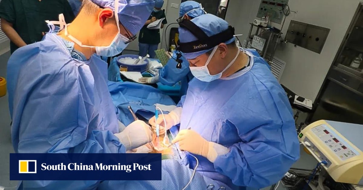 World first: living cancer patient in China receives pig’s liver transport World first: living cancer patient in China receives pig’s liver transport