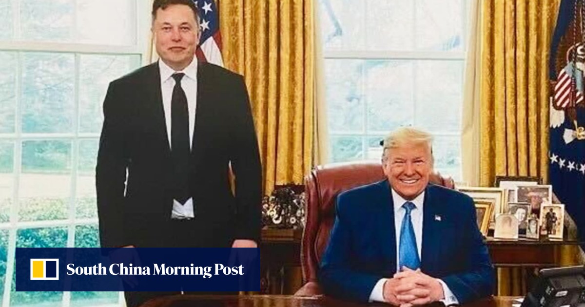 Elon Musk may have a plan to get convicted felon Donald Trump back on X, formerly Twitter