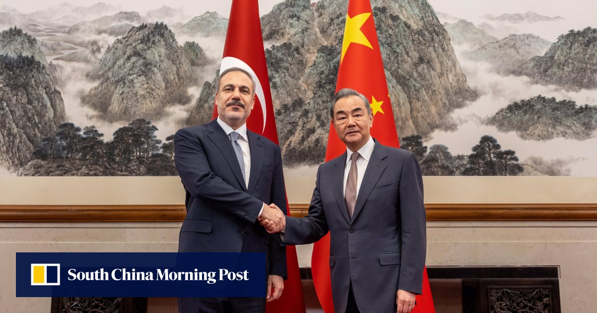China eyes closer ties with Turkey to take on global ‘power politics’
