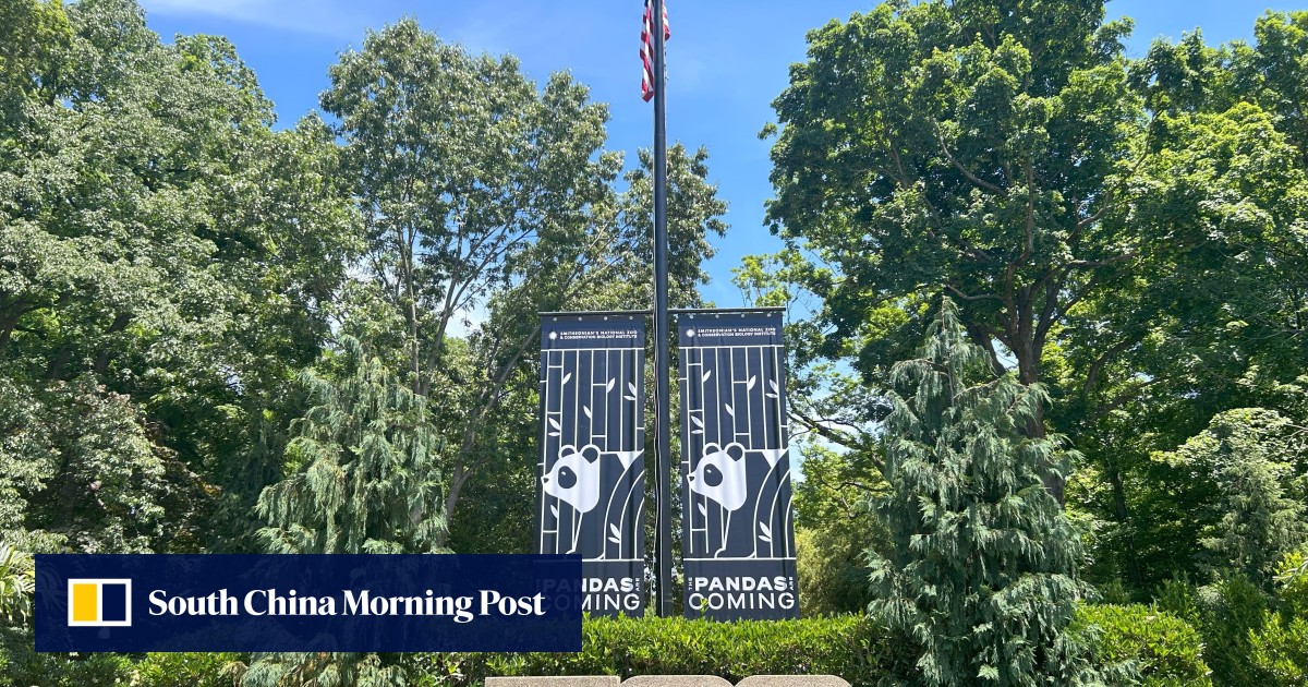 Panda fever hits Washington’s National Zoo early, as does push for donations to help cover high costs