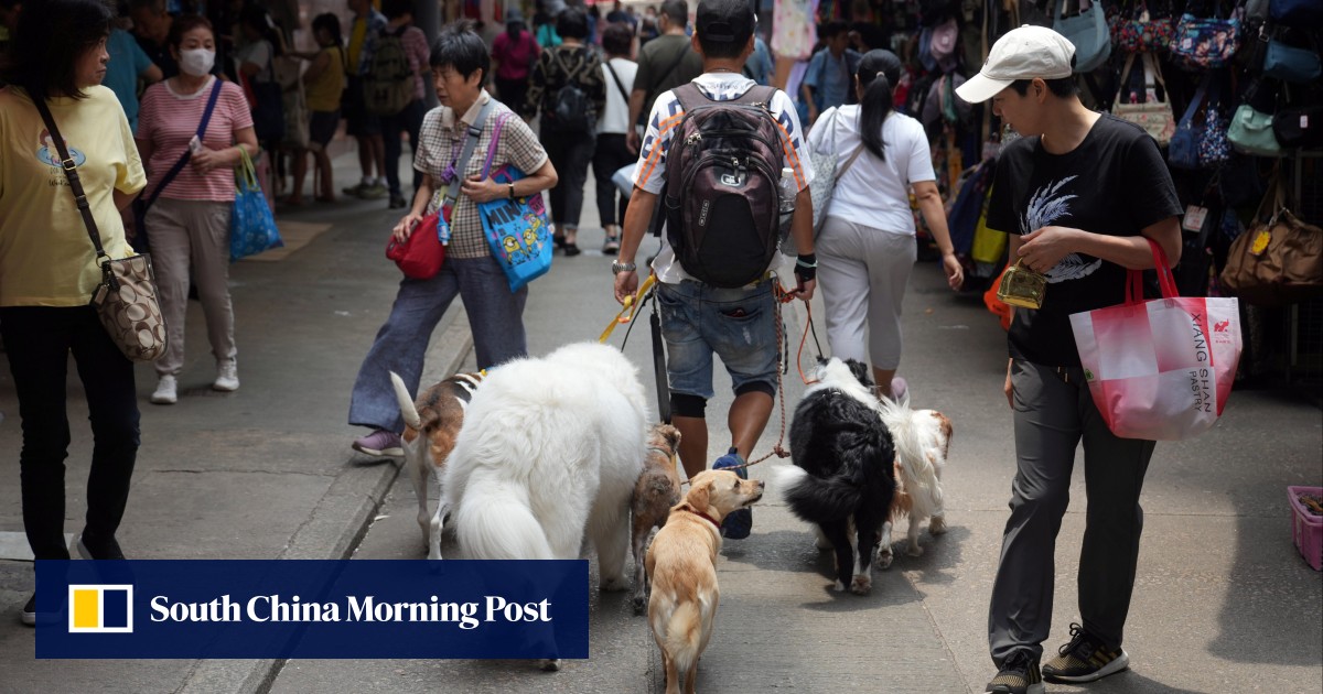 Reducing Hong Kong’s pet quarantine period ‘might curb cross-border smuggling’